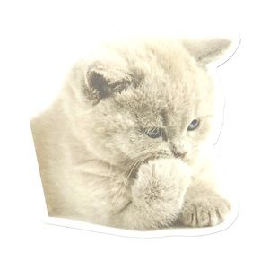Cat Vinyl Sticker